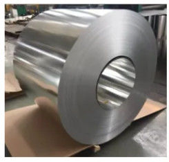 Stainless Steel Coil Strip 304 316 316l 316ti 310s 300 Series Ss Sheet for Wall Decoration